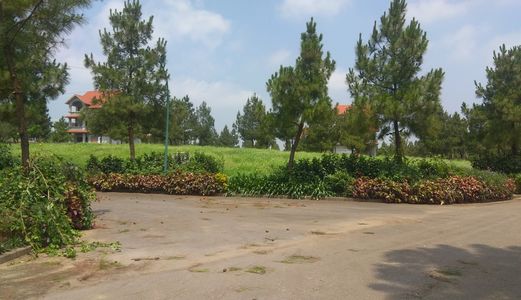 Biệt Thự Sinh Thái Đan Phượng Giá 6 Tỷ Liên Hệ 0946642348