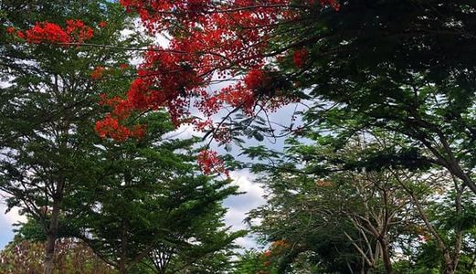 Viva Park Nhà Phố, Biệt Thự Tuyệt Vời Trong Tim Em