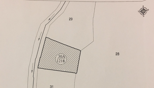 Cơ Hội Đầu Tư Hấp Dẫn Cho Các Nhà Đầu Tư Bđs Đà Lạt