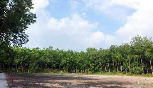 Mua Bán Đất Giá Re Lai Uyên  Bàu Bàng Bình Duong