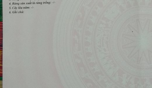 Bán Gấp 10M Đất Mặt Tiền Đường Nhựa Láng Tre - Xuân Thành