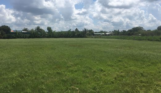 Cần Bán Đất Củ Chi Đã Có Sổ Hồng Riêng