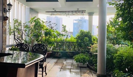  Bán Nhà Đường Bầu Cát, Tân Bình, Diện tích 60m2, Giá 8.5 Tỷ. 