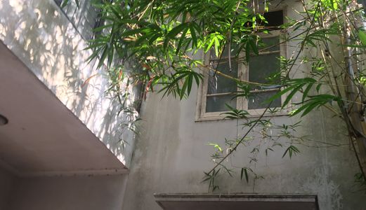 (5 .5 Tỷ) Cần Bán Đất Ngõ 515 Hoàng Hoa Thám Dt 100M Mt 10X10M Thích Hợp Đầu Tư