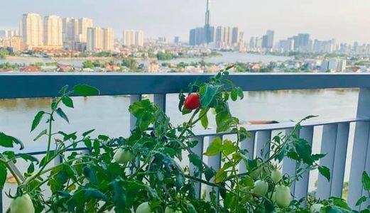 Cực Rẻ-2Pn Opal Riverside View Q.1-Tặng 100% Nt -Giá Chính Xác  100%-0909804486