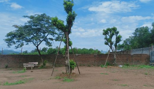 Cơ Hội Sở Hữu Ngay 4000M2, Khuôn Viên Hoàn Thiện Tại Lương Sơn