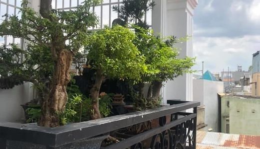 Bán Nhà Đường Nguyễn Hồng Đào, Tân Bình, 5 Tầng Giá 9.7 Tỷ. Đt 0938837998.