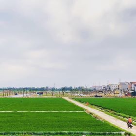 [Hot] 50 Lô Dự Án Yên Phụ Newlife Đang Bay Cực Nhanh