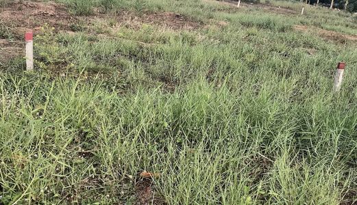 Bán Đất Bình Thủy Cần Thơ 99M2 Giá 572Tr