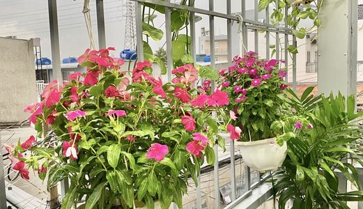 Chính Chủ Bán Nhà Mới Xây Tuyệt Đẹp Hẻm xe hơi 1135 Huỳnh tấn phát, Diện tích 25m2, Tặng Nội thất ,1.55 Tỷ 