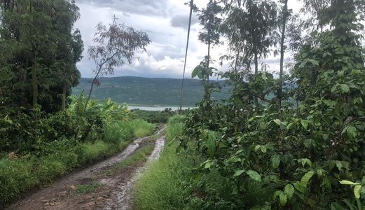 Bán Gấp 43467M2 Hàng Hiếm Di Linh – Lâm Đồng Thích Hợp Nuôi Cá Và Trồng Rau Chỉ Với 120Tr/sào