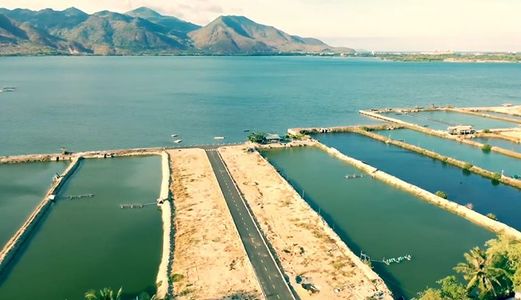 Năm 2020 Bất Động Sản Gọi Tên Cam Lâm - Khánh Hòa