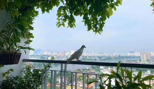 Cần Fix Nhanh Opalriverside 3Pn-87M2-Như Hình-Tầng Đẹp-Bao Sang Tên-Thương Lượng -0909804486