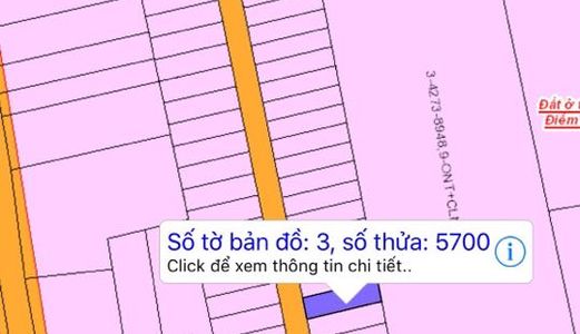 Bán Gấp: Đất Đồng Nai, Thổ Cư 100%, Mặt Tiền Đường Phùng Hưng