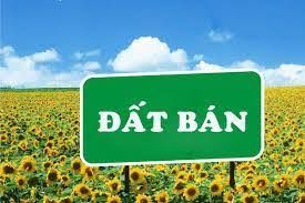 Bán Đất Mặt Ngõ Bàng La, Đồ Sơn, Hải Phòng.