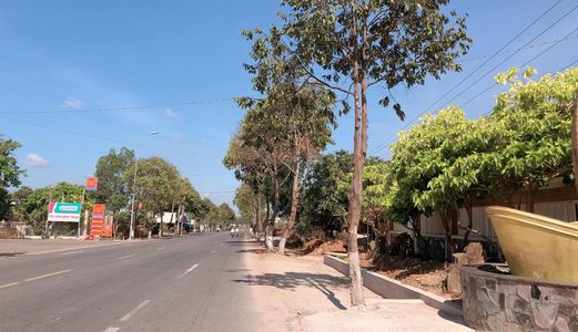 Bán Lô Đất 3 Mặt Tiền Đương Nhựa Ql55 Bông Trang-Xuyên Mộc-Brvt. Gần Biển