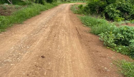 ❌ Bán Đất Xã Xuân Trường, Huyện Xuân Lộc, Tỉnh Đồng Nai Diện Tích 10×90 ( Nở Hậu 12M )  Đường Số 4 , Đường Đất Rộng 7M  Cách Tỉnh Lộ 766 Chỉ 2,3Km Đường Sắp Đổ Nhựa Sổ Hồng Riêng Giá Chưa Qua Đầu Tư 360Tr Đầu Tư Sinh Lời Ngay Trước Mắt . Zalo Hoặc Sđt 039