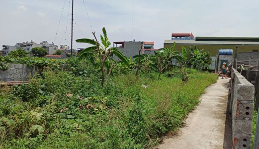 Chính Chủ Cần Bán Nhà Đất Hà Hồi Thường Tín Oto Đỗ Cửa Giá 3Tr/m2