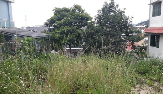 Bán Đất Đường Hùng Vương, Phường 11, Đà Lạt 354Mv Mã 20074 