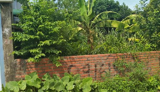 Bán Lô Đất 2 Mặt Tiền Tại Hạ Bằng, Cách Khu Công Nghệ Cao Hòa Lạc Chỉ 500 M. Lh 0962 834 415