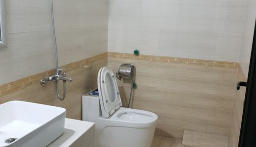 Cho Thuê Nhà Nguyên Căn Phố Lê Xuân Điệp 