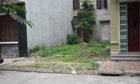 Cần Ra Đi Miếng Đất Đường Đinh Đức Thiện Gần Chợ Bình Chánh 700Tr