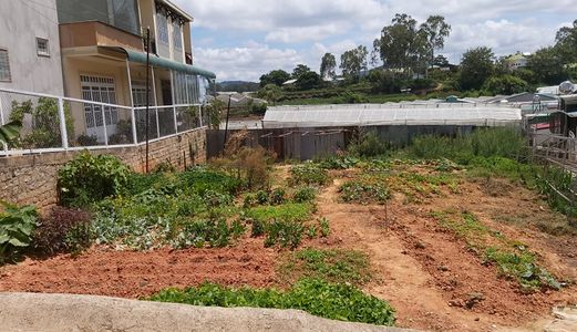 Bán Lô Đất Bằng Phẳng, Đường Bằng Tại Lữ Gia, Phường 9, Đà Lạt 200Mv Mã 20091 