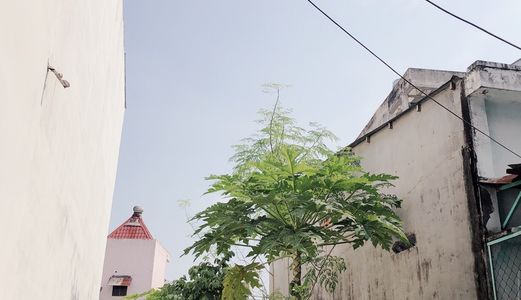 Gia Đình Bán Gấp Nhà Hẻm Xe Hơi 4M Trịnh Đình Trọng, P. Phú Trung, 4X12, Gác Lững, Giá 5.2 Tỷ Tl. Lh 0833768168