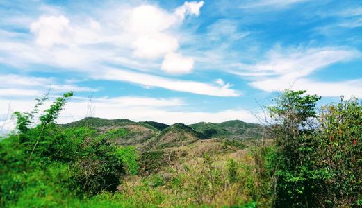 Đất Long Hải, Giá Đầu Tư