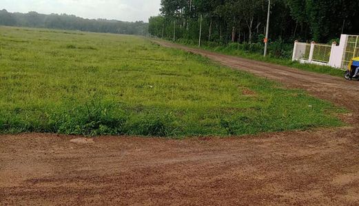 Đất Nền 1000M2 Bình Dương Giá Siêu Rẻ .