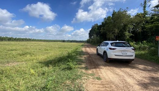 Đất Nền 1000M2 Bình Dương Giá Siêu Rẻ .