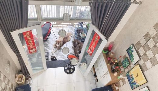 Bán Nhà Đường Lê Đại Hành Quận 11 Giá Chỉ 6 Tỷ 5