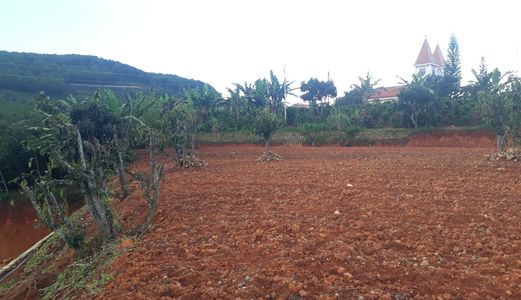 Bán Đất Bằng Phẳng Có View Đồi Thông Tại Thôn Xuân Sơn, Xã Xuân Trường, Đà Lạt 1387Mv Mã 20092 