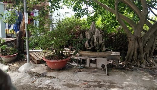 Bán Đất Thổ Cư 5X20M, Shr, Hxh, Nguyễn Văn Tạo, Giá 2.2 Tỷ