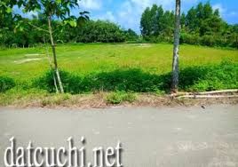 Đến Với Xu Hướng, Tiền Đề Mới Để Đầu Tư Với Đất Nền Giá Cực Rẻ So Với Đất Trung Tâm Hcm, Chỉ Có Tại Củ Chi 