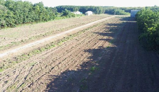 Bán Đất Tổ Tiên Để Lại 1000M2 Giá Bán 700 Triệu Tại Tt Chơn Thành Bp 0909775636