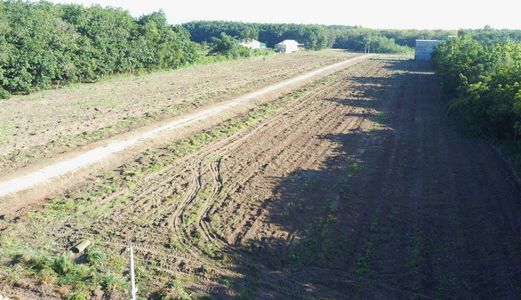 Thiếu Vốn Kinh Doanh Cần Bán 1000M2 Trung Tâm Tt Chơn Thành Giá 600Tr