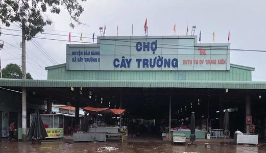 Cần Bán Gấp Đất Chính Chủ 1.000M2 Tại Bình Dương