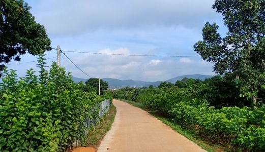 Chính Chủ Cần Bán Gấp Đất Có Sẵn Nhà Tại Thanh Trì, Đông Thanh, Lâm Hà, Lâm Đồng