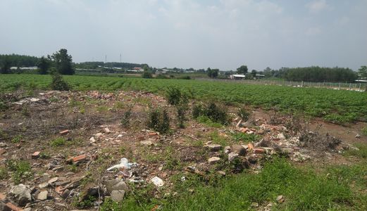 Bán Nhanh 7500M2 Sát Hồ Châu Pha. Đã Chia Thành Lô Nhỏ. Sổ Riêng. Giá Rẻ Hơn Chưa Phân Lô. 1Tr/m2