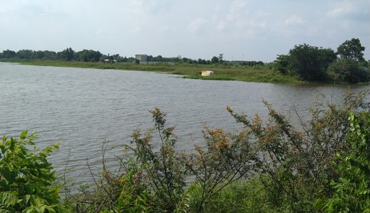 Bán Nhanh 7500M2 Sát Hồ Châu Pha. Đã Chia Thành Lô Nhỏ. Sổ Riêng. Giá Rẻ Hơn Chưa Phân Lô. 1Tr/m2