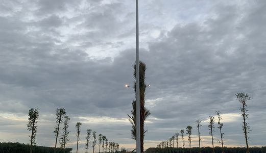 Đất Nền Đường Long Đức Gần Sân Bay Long Thành Đồng Nai Diện Tích 100M2 Giá 18 Triệu 