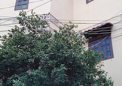 Nhà Bán Hẻm Xe Hơi CMT8 Quận 10, Diện Tích 3,8X12, Giá Chỉ 6,5 Tỷ