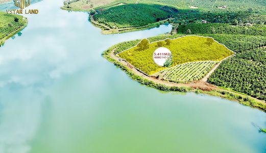 Bán Đất Ven Hồ, View Cực Đẹp Tại Lộc Đức, Bảo Lâm, Lâm Đồng.