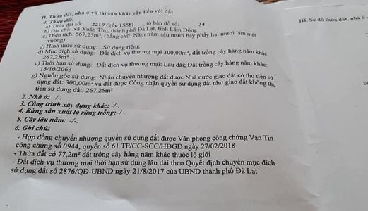 Chính Chủ Cần Bán Gấp Lô Mặt Đường Ql 20, Xã Xuân Thọ, Tp Đà Lạt, Lâm Đồng