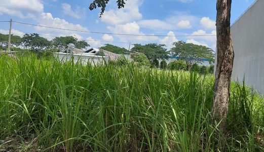 Chính Chủ Bán Đất A49 Khu Dân Cư Tân Bình , Vsip 2 Mở Rộng