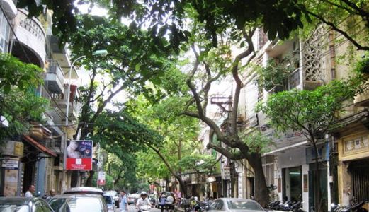 Nhà Mặt Phố Mai Hắc Đế - Dt 53M2 - Mt 5M. Giá 24 Tỷ 500