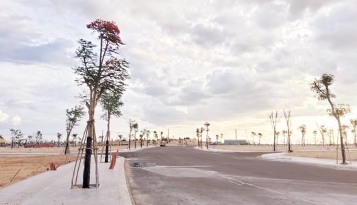 Bán Đất Nền Thổ Cư 5X16 Tại Thành Phố Qui Nhơn