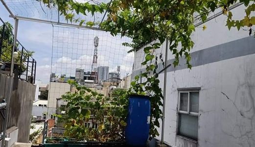 Bán Nhà Hxh, Tôn Thất Thuyết, Phường 3, Quận 4, Đúc 3 Tầng, 4 Phòng Ngủ, 75M2, Giá 6 Tỷ.