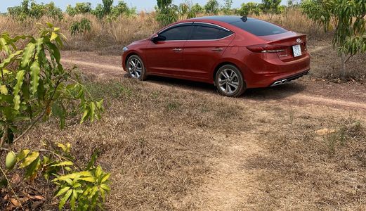 Bán Gấp Miếng Đất Vườn Đang Trồng Cây Xoài Mặt Tiền Quốc Lộ 20